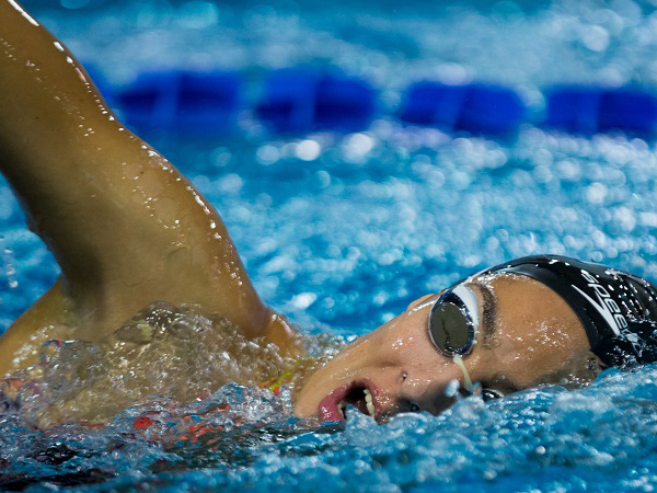 Andreas-Papadopoulos-Member